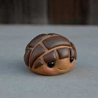 Image 5 of LG Brown Conchita