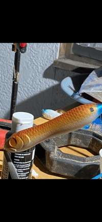Image 4 of Custom Painted Hard Baits