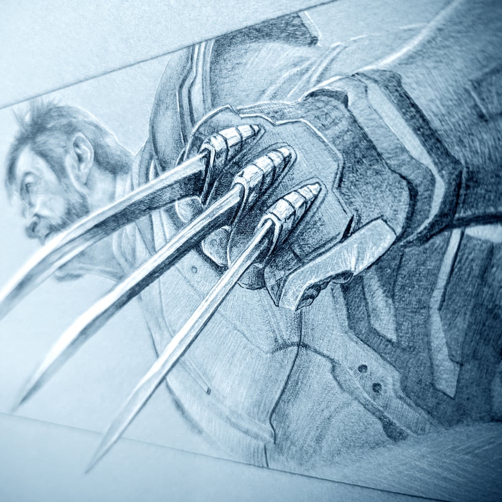 Image of WOLVERINE DRAWING STUDY