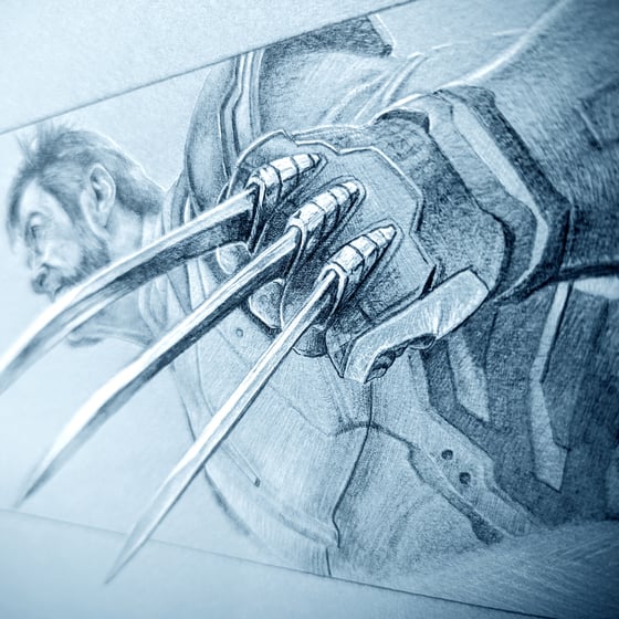 Image of WOLVERINE DRAWING STUDY