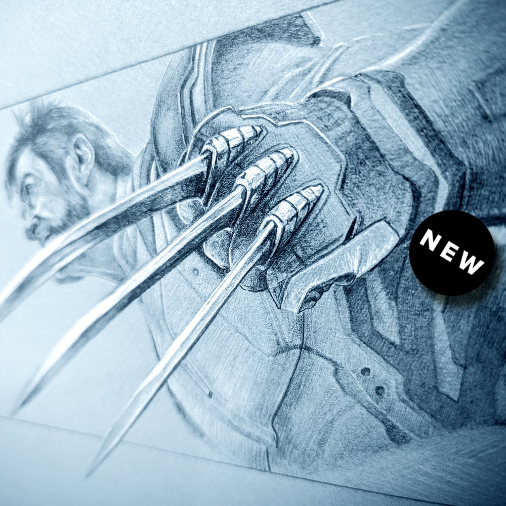 Image of WOLVERINE DRAWING STUDY