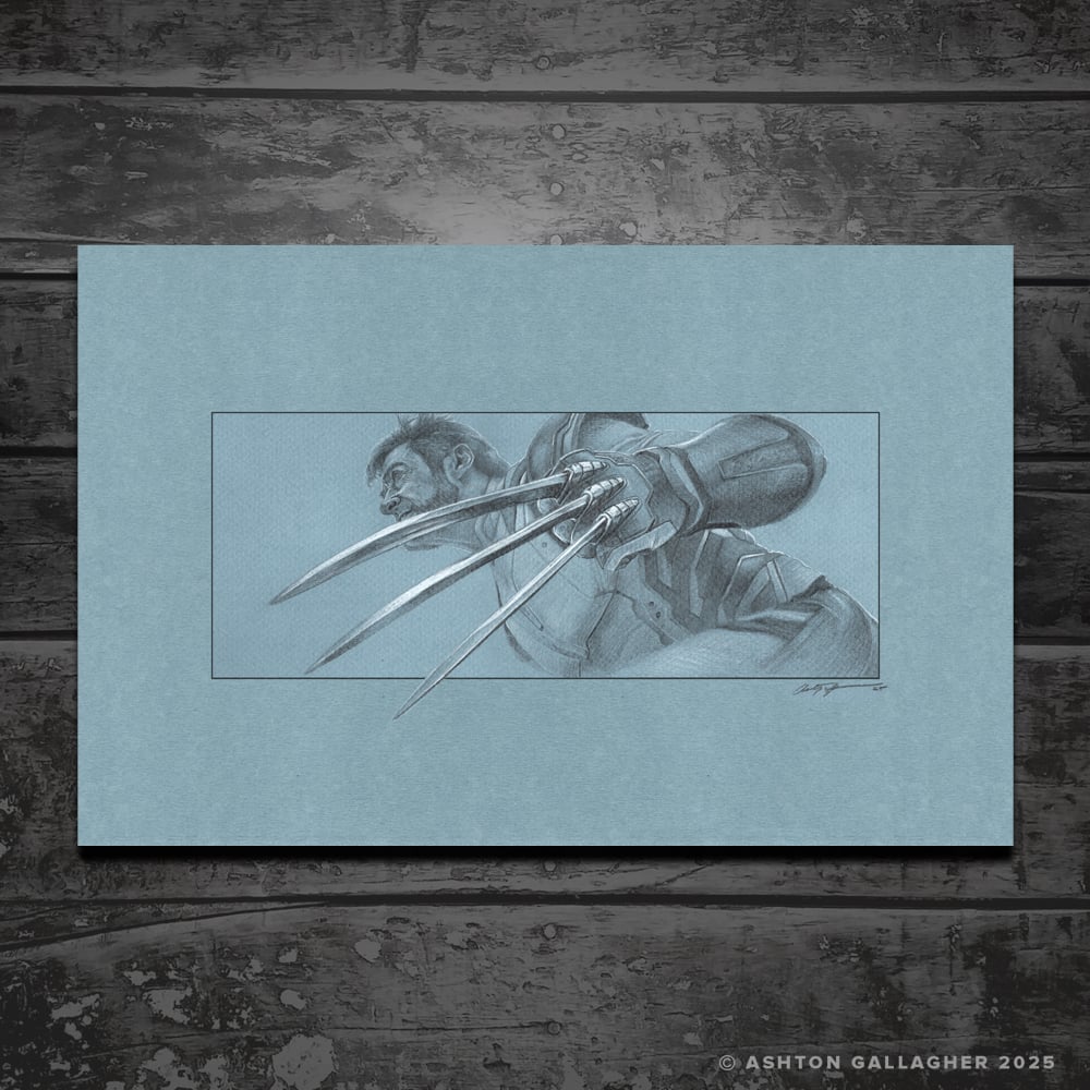 Image of WOLVERINE DRAWING STUDY