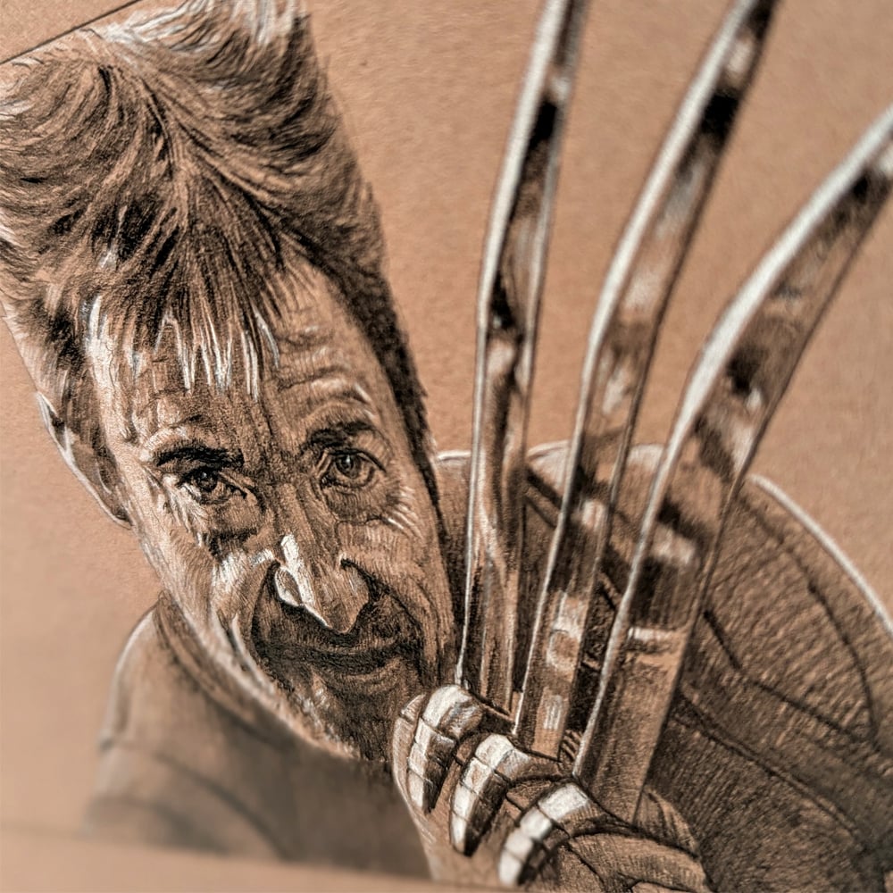 Image of WOLVERINE ALT DRAWING STUDY