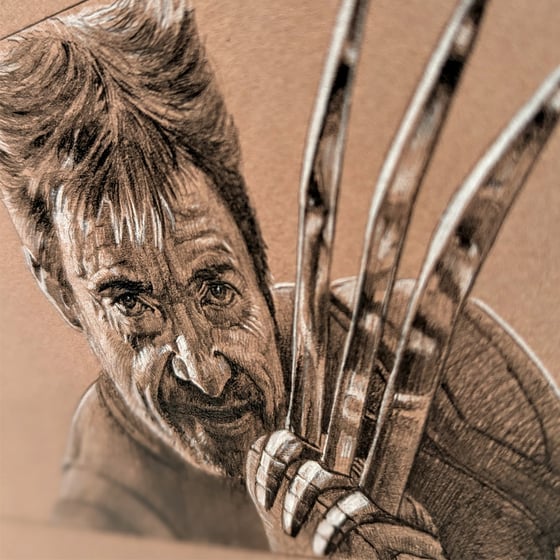 Image of WOLVERINE ALT DRAWING STUDY