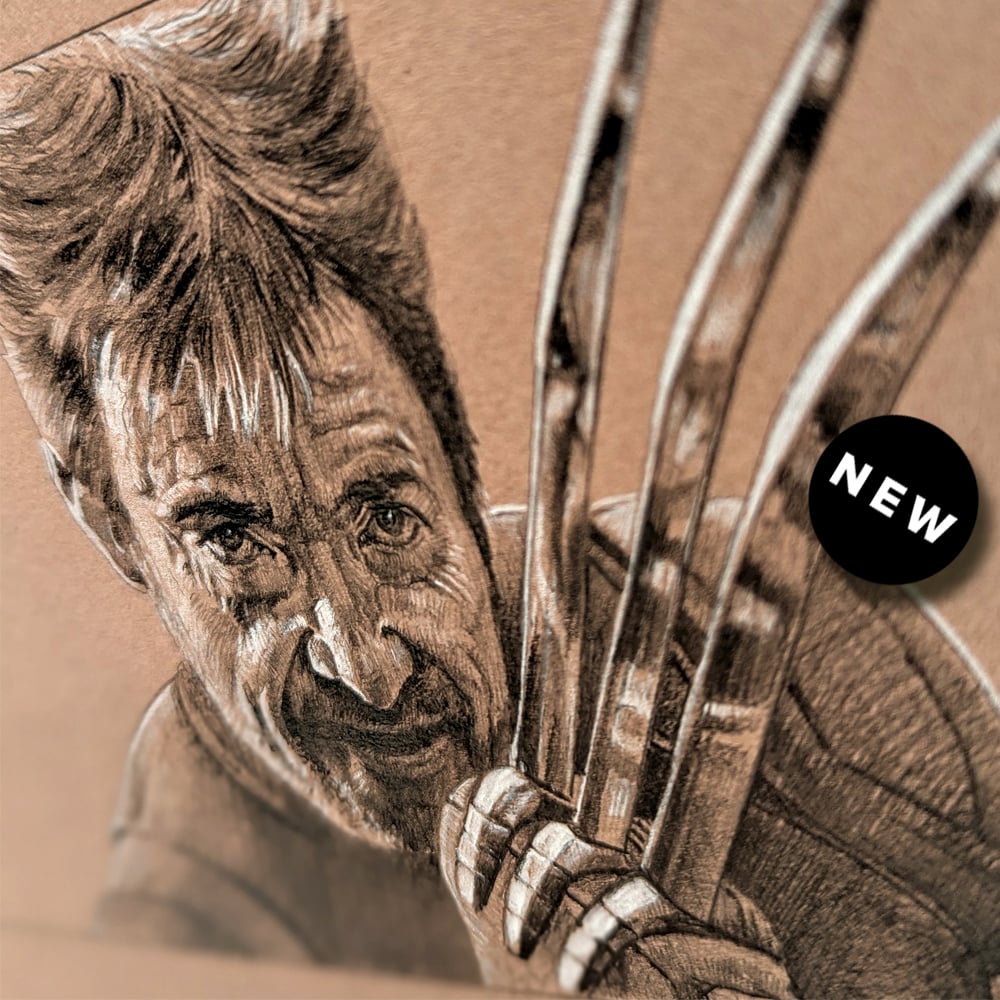 Image of WOLVERINE ALT DRAWING STUDY