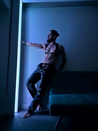 Image 2 of DOM HARNESS 