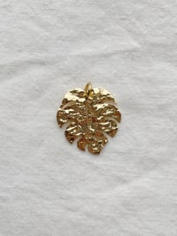 Image 1 of Charms MONSTERA XL 