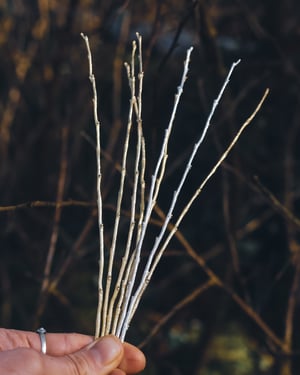 Image of Brass twig bangle