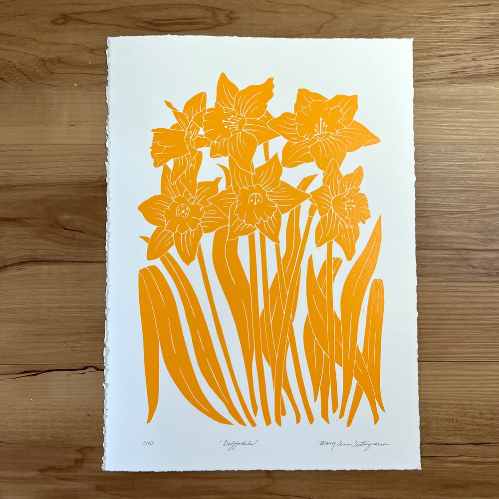 Image of Daffodils (on white paper)