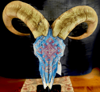 Image 1 of Hand Painted Aoudad Sheep Skull. SHIPPING NOT AVAILABLE. 