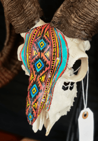 Image 1 of Hand Painted Corsican Ram Skull. SHIPPING NOT AVAILABLE. 
