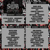 SWR FEST 25 | TICKET 1 DAY