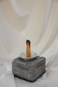 Image 5 of Siberian Fir Wax Melt – Fresh Forest Aroma with Cedarwood & Sandalwood