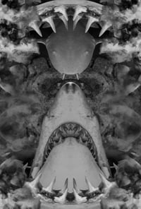 Image 8 of Creatures of Liminal Space - PREORDER