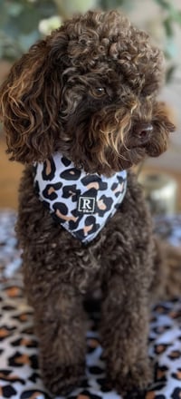 Image 1 of Bandana