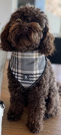 Image 2 of Bandana