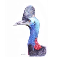 Image 1 of "Guardian of the Rainforest" - Cassowary Portrait Print