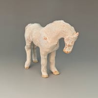 Image 4 of Standing horses