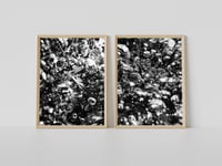 Image 2 of High-Quality Professional Lab Print / A4 Size