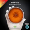 Nameko (Pholiota Microspora) Live Mycelium Mushroom Culture Spawn Seed