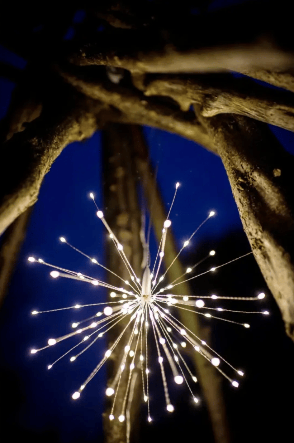 Image of Plug In Large Starburst Light 