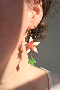Image 2 of Boucles Aurora