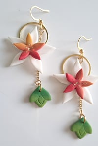 Image 1 of Boucles Aurora