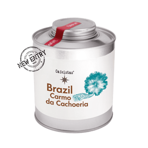 Image of carmo da cachoeria - brazil - microlot - 250g - coffee