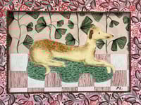 Image 4 of Jessica - a Staffordshire Greyhound