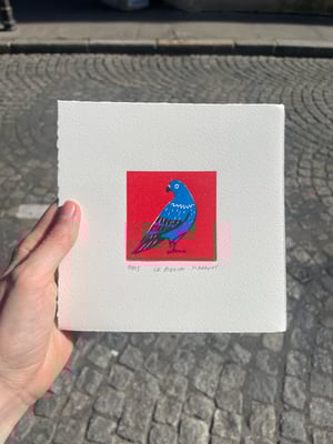 Le Pigeon