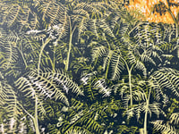 Image 4 of High Moor