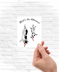 STICKER - What's the difference?