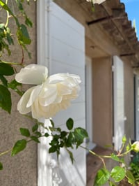 Image 5 of CERCLE EN RESIDENCE dans le Luberon 🌿