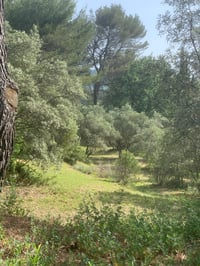 Image 2 of CERCLE EN RESIDENCE dans le Luberon 🌿