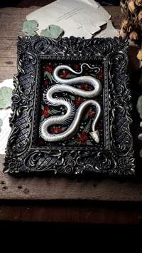 Image 5 of Snake Skeleton Ornate Wall Frame