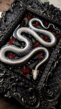 Image 2 of Snake Skeleton Ornate Wall Frame