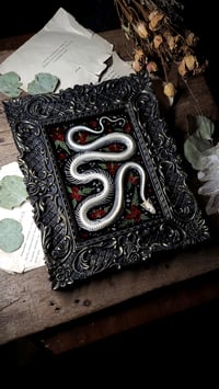 Image 4 of Snake Skeleton Ornate Wall Frame