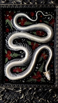 Image 3 of Snake Skeleton Ornate Wall Frame