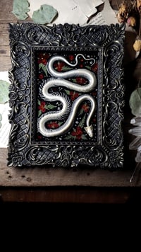 Image 1 of Snake Skeleton Ornate Wall Frame