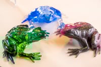 Image 1 of Frogs