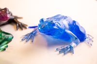 Image 2 of Frogs