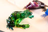 Image 6 of Frogs
