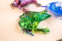 Image 8 of Frogs