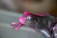 Image 13 of Frogs