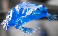 Image 4 of Frogs