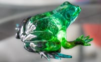Image 17 of Frogs
