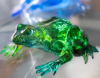 Image 5 of Frogs