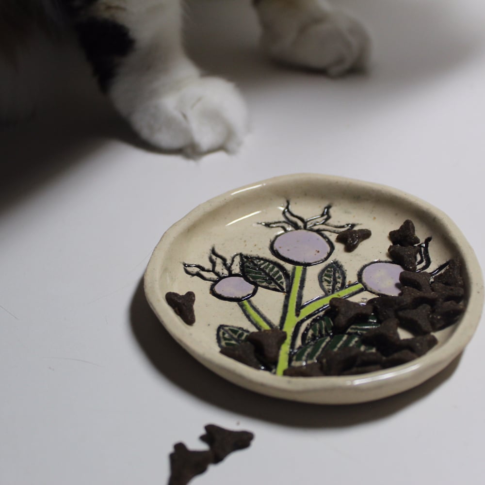 Image of pet dish