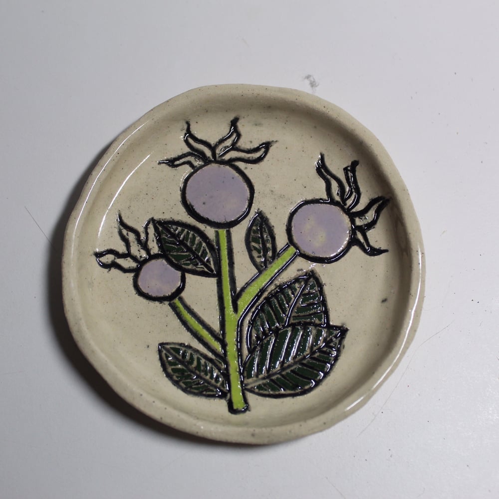 Image of pet dish