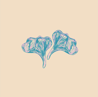 Image 3 of Oyster Mushroom 